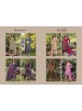 Shop KAVYA KALA BIN SAEED Vol-12 Pure Cambric Cotton Suit with Digital Style Print, Embroidery, Dyed Cotton Bottom and Pure Mal Cotton Dupatta.