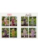 VINAY | Anarkali Vol. 5 Cotton Embroidery Collection